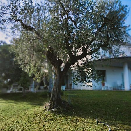 Villa Margherita San Giovanni Teatino Eksteriør bilde